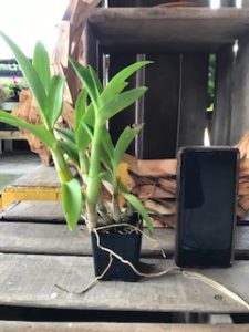 Retail Product